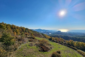 Twin Parcels in Mahmutlar Karahasanlı Area | Can be Sold Together or Separately alanya Twin Parcels in Mahmutlar Karahasanlı Area | Can be Sold Together or Separately alanya