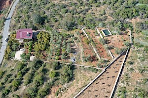 3752 m² Fruit Orchard – 2-Storey Detached House, 800 m from Sea in Yeşilöz alanya 3752 m² Fruit Orchard – 2-Storey Detached House, 800 m from Sea in Yeşilöz alanya