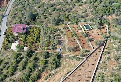 3752 m² Fruit Orchard – 2-Storey Detached House, 800 m from Sea in Yeşilöz 3752 m² Fruit Orchard – 2-Storey Detached House, 800 m from Sea in Yeşilöz alanya